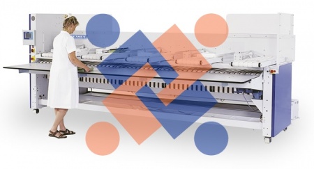 mfs jensen group